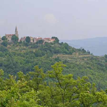 In Grisignana